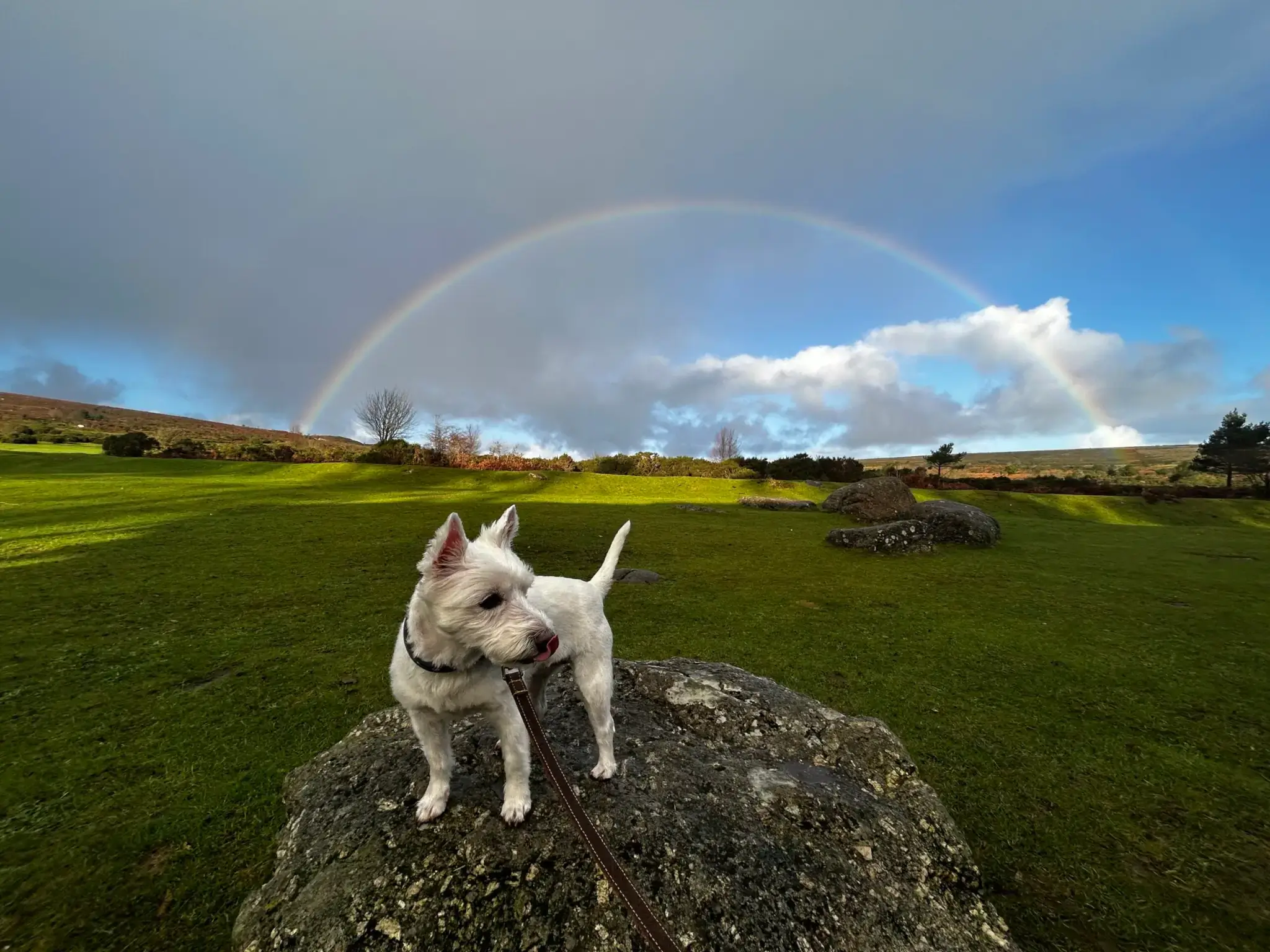 The Manor Blakeney Dog Friendly Hotel